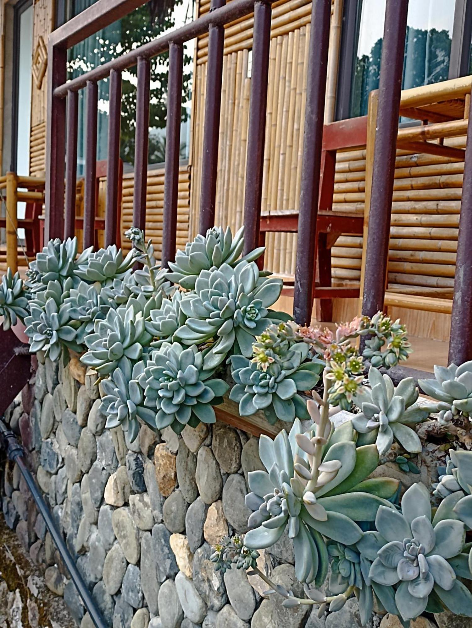 Thao Ly Homestay Mai Chau Hoa Binh Exterior photo